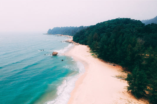 12 Fun Things to Do at the Beach